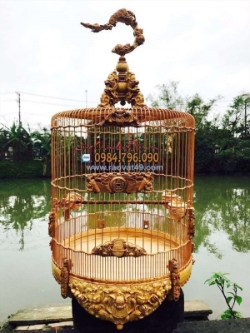 Top mẫu chuồng chim chào mào được người chơi yêu thích