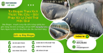 Túi biogas theo yêu cầu bằng bạt hdpe