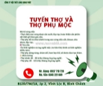 Tuyển thợ mộc và thợ phụ ở bình chánh