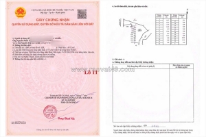 . block đá bạc 11 nền f0