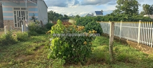 1300m2 hẻm đối diện trường cấp 3 hoàng hoa thắm, n'thôn hạ, đức trọng cũ, lâm đồng