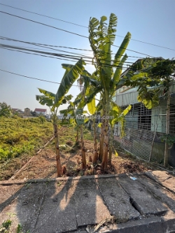 ,x tr/m² – đất trục đường quyết tiến, hợp đức, đồ sơn  quỹ đất hiếm – phù hợp