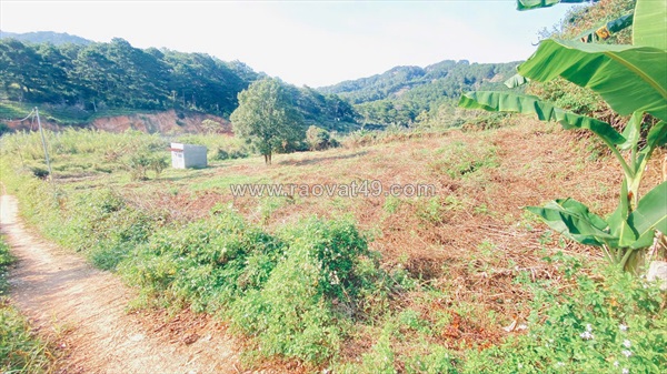 4 sào hẻm ql27, dran, đơn dương, lâm đồng