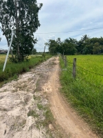 850 triệu lô đất 237m2 thổ cư hẻm lý thái tổ, tân hải, lâm đồng ( lagi cũ )