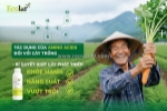 Amino acid trong nông nghiệp hiện đại – nền tảng dinh dưỡng giúp cây trồng khỏe mạnh và phát triển bền vững