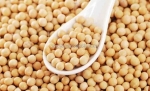 Anlocfood phân phối sỉ đậu nành số lượng lớn