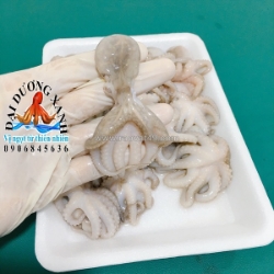 Bạch tuộc baby – nguyên liệu dễ chế biến cho bữa cơm gia đình