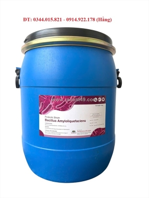 Bacillus amyloliquefaciens, hỗ trợ đường ruột tôm cá, xử lý nước