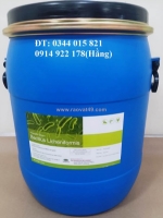 Bacillus licheniformis, men vi sinh giúp vật nuôi tiêu hóa tốt thức ăn