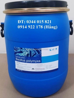 Bacillus polymyxa, men vi sinh hỗ trợ đường ruột cho tôm cá