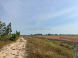 Bán 1009m2 đất khu rừng vàng lagi, lâm đồng gần biển giá ngộp 1.25 tỷ