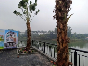 Bán 100m2 đất nền trại hồ giá 3, x tỷ