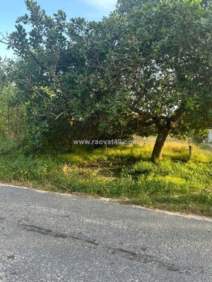 Bán 10m x 70m đất thổ cư đường cù chính lan, lagi giá ngộp 160tr/m ngang