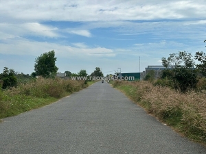 Bán 11.5m x 37m đất thổ cư đường võ văn tần, la gi giá chỉ 6.65 triệu/m² gần