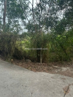 Bán 1.3 sào đất hẻm nguyễn du, phước hội, lâm đồng ( lagi cũ ) gần biển siêu rẻ