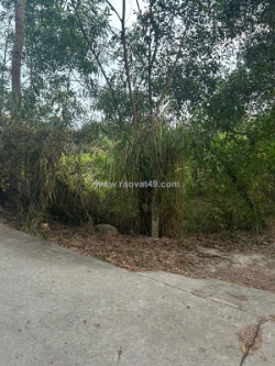 Bán 1.3 sào đất hẻm nguyễn du, phước hội, lâm đồng ( lagi cũ ) gần biển siêu rẻ