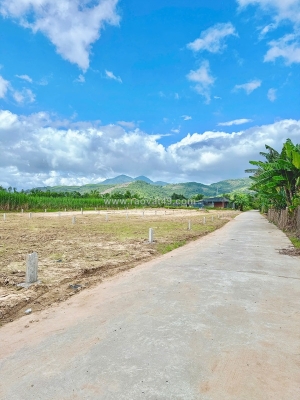 Bán 16 lô full thổ cư trung tâm xã diên phước( xã diên thọ mới) diện tích: