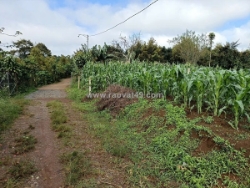 Bán 166,6m2 đất tân lạc lâm đồng, sẵn shr, chỉ 450tr buông sổ. lh:0983762203