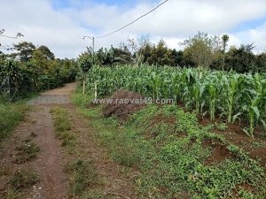 Bán 166,6m2 đất tân lạc lâm đồng, sẵn shr, chỉ 450tr buông sổ. lh:0983762203