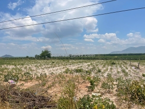 Bán 50m đất mặt tiền mai thúc loan, tân hải, lagi giá ngộp 160tr/m ngang