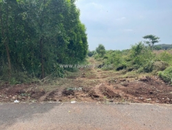 Bán 7691.5 m² đất xã long tân, đất đỏ giá 3 tỷ / sào. lh:0938677702.