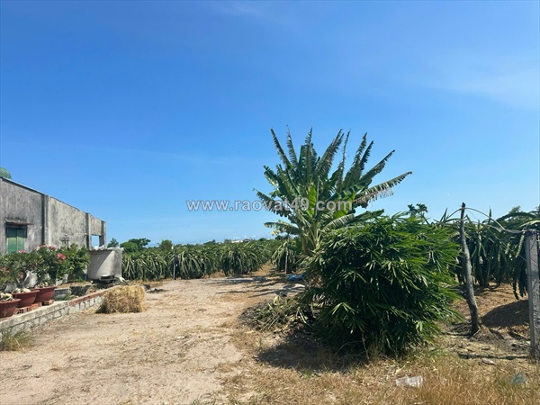 Bán 8.2 sào đất tân tiến - lagi gần biển chỉ 2.4 tỷ có 60m2 ont đường ô tô