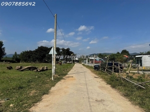 Bán đất giá rẻ tại khánh hoà