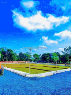 Bán đất giá rẻ trục kinh doanh tại hòa lạc giá tốt