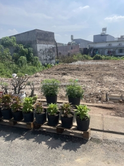 Bán đất mặt tiền đường nhựa 12m ngang 5xm giá 5 tỷ đường đông thạnh