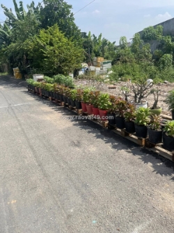 Bán đất mặt tiền đường nhựa 12m ngang 5x19m giá 5 tỷ đường đông thanh