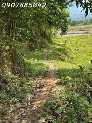 Bán đất nền giá siêu rẻ sổ hồng riêng tại nha trang