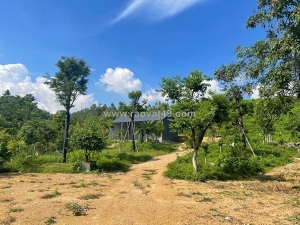 Bán đất nghỉ dưỡng tam đảo – đối diện sân golf – diện tích lớn, tiềm năng sinh