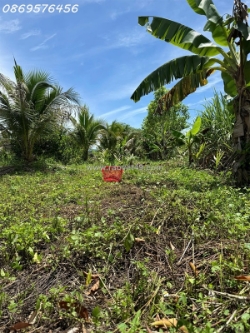 Bán đất rãy tại diên khánh khánh hoà