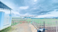 Bán đất sẵn nhà tiền chế hẻm tổ 32, liên nghĩa, đức trọng