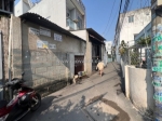 Bán đất tặng nhà 74m2 , hxh, phước long , quận 9 , giá chỉ 6 tỷ