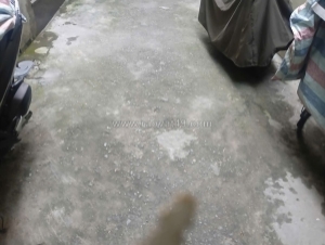 Bán đất tặng nhà – võng thị, tây hồ – giá tốt -  ngõ 8 võng thị – tây hồ – hà