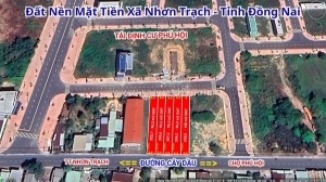 Bán đất thổ cư  2 mặt tiền đường cây dầu - tiếp giáp tái định cư phú hội nhơn