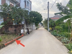 Bán đất thôn ấp tre, xã quang minh, thành phố hà nội. gần kcn và trường cd y