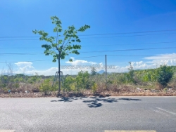 Bán gần 1.2 hecta đất mặt tiền hùng vương, lagi view biển 3.2tr/m2 giảm 40%