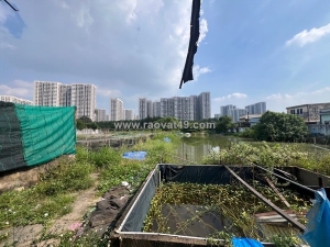 Bán gấp đất vàng 4140m2  nguyễn xiển – long thạnh mỹ - q9 chỉ 50 tỷ