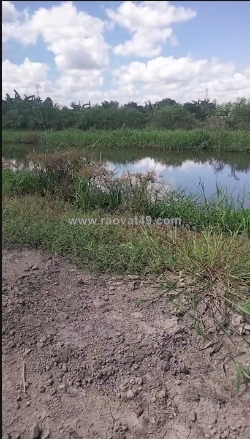 Bán gấp đất vườn 6.900m² – phụng hiệp, cần thơ – ô tô 7 chỗ tới đất