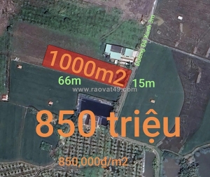 Bán lô đất lúa gần quốc lộ 50 b giá 850 triệu