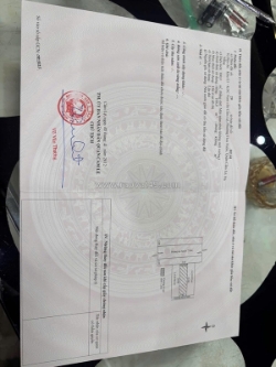 Bán lô mt đường hoàng đình ái (đường 7m5) đoạn gần đường 29/3. giá 5ty950 lh