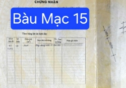 🔴💥bán nhà 2 mặt tiền đường bàu mạc 15 - nhà c4