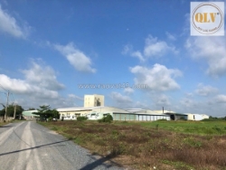 Bán nhà máy sản xuất thức ăn gia súc, gia cầm, thủy sản - tn – 11,65ha