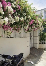 Bán nhà vĩnh thạnh mặt đ ôtô né nhau.mặt tiền 10,50m.dt110m2 , giá 3ty750 mọi