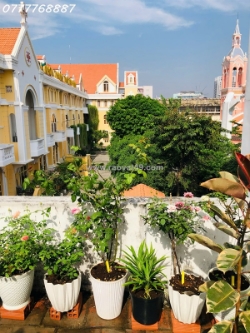 Bán nhà võ thị sáu, quận 3 dt đẹp 6x20 giá tốt