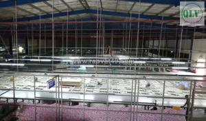 Bán nhà xưởng – kcn trảng bàng, tây ninh - 8.312m²