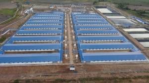 Bán trang trại heo 26 ha -chư prông, gia lai. quy mô .000 heo thịt, đang cho