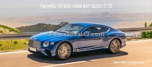 Bảo việt – đơn vị hỗ trợ cung cấp dịch vụ bảo hiểm dân sự ô tô uy tín